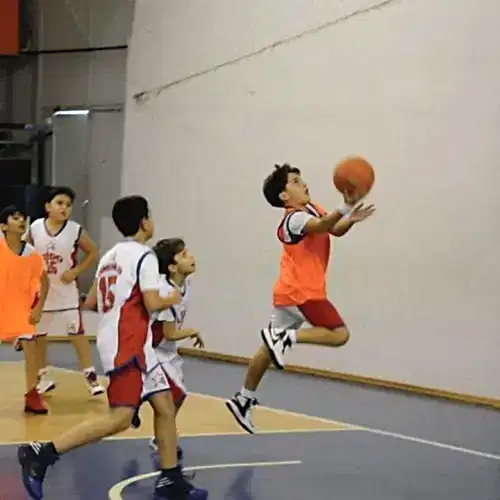 Hidayet Türkoğlu Basketbol ve Spor Okulları - Bilkent - 3. Fotoğraf