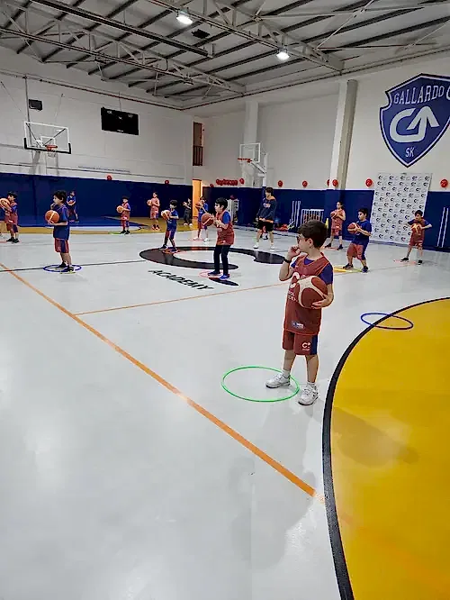 Cedi Osman Academy Eryaman - 2. Fotoğraf